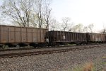NS 10132
